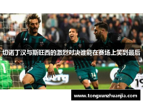 切诺丁汉与斯旺西的激烈对决谁能在赛场上笑到最后